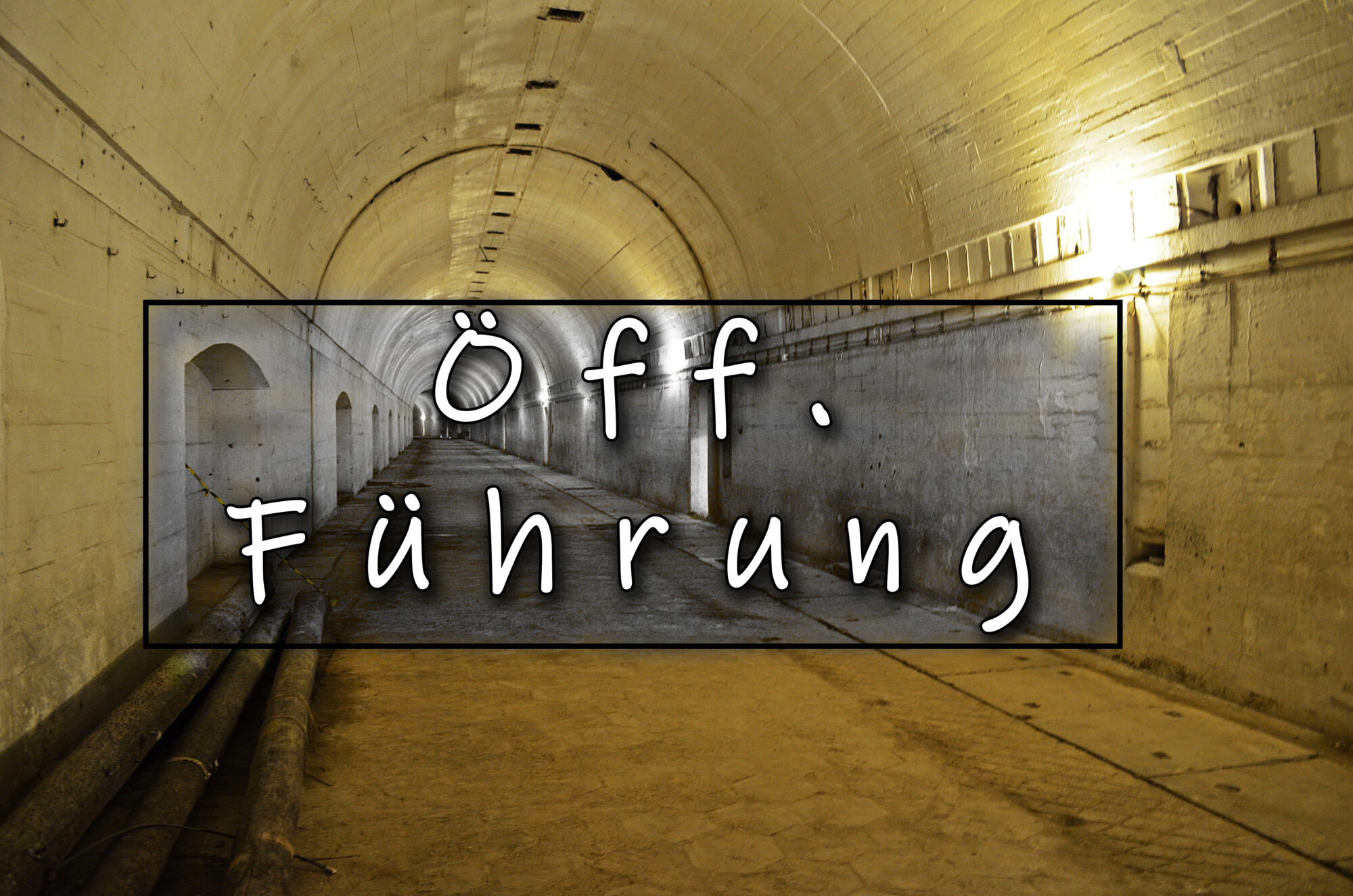 Öffentliche Führungen